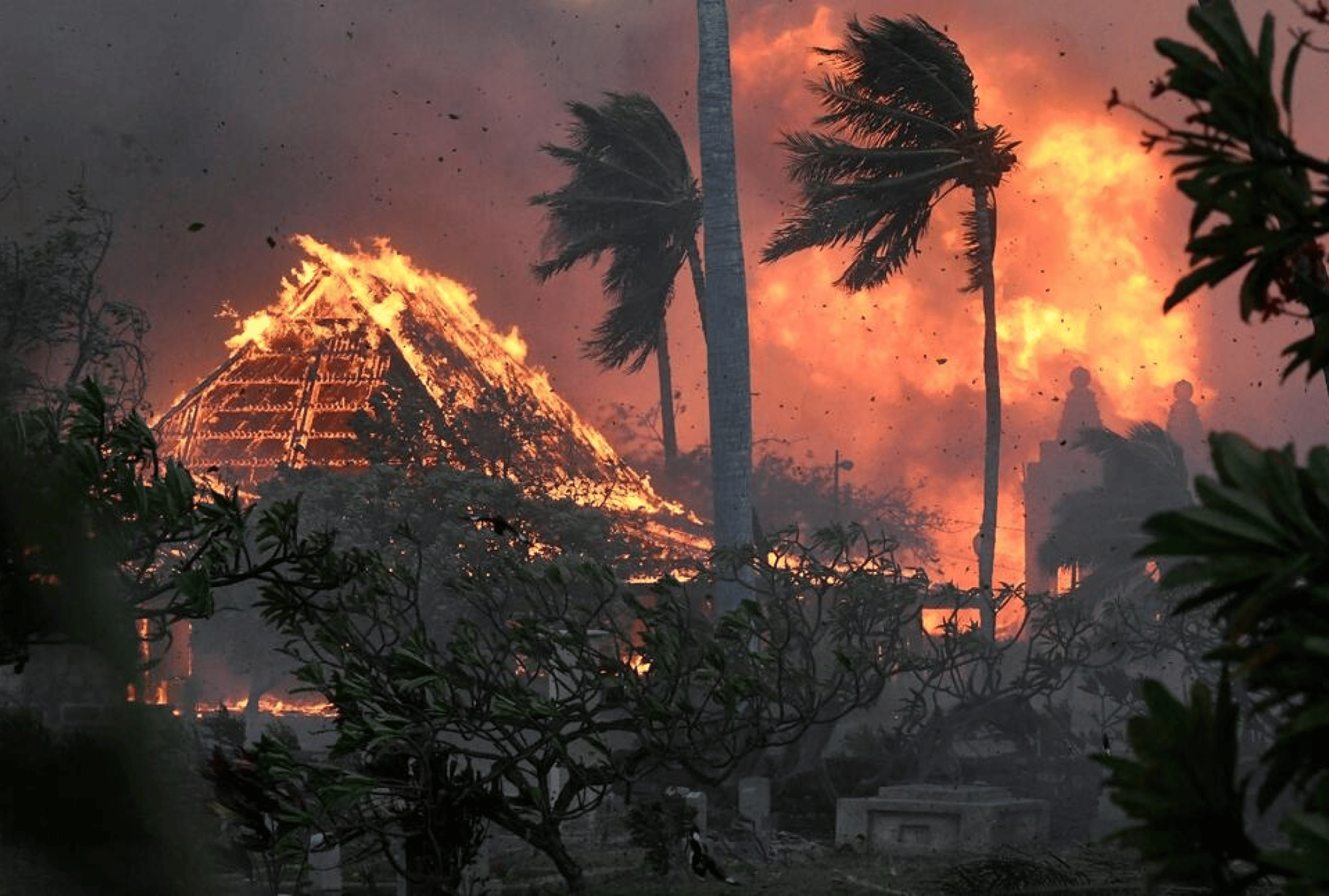 How Did the 2023 Wildfire Season Shape Up_