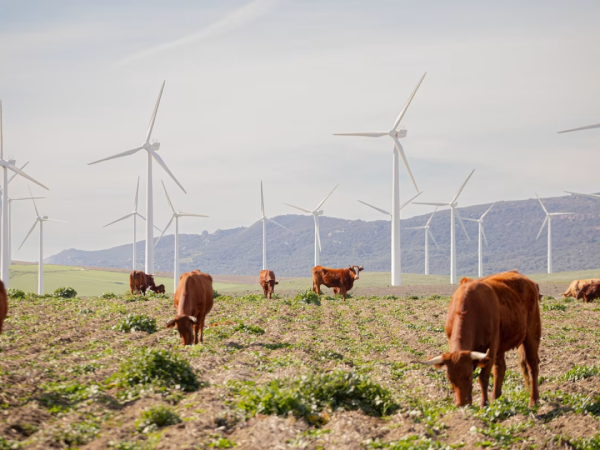The problem with Europe_s ageing wind farms